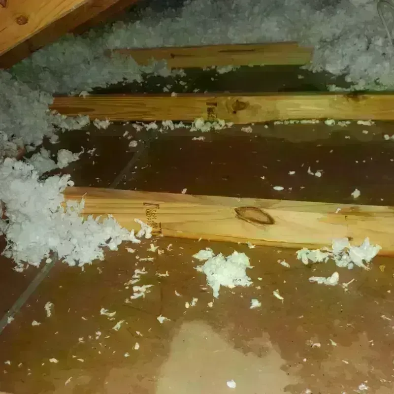 Attic Water Damage in Saint Marys, WV